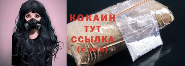 соль ск Бородино