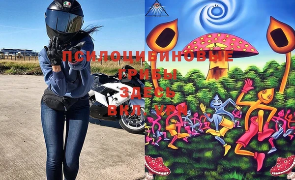 дживик Верея