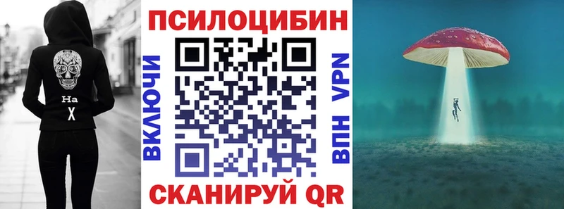 как найти   Наро-Фоминск  Галлюциногенные грибы Magic Shrooms 